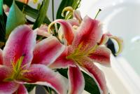 Image #2 of SPECIALS