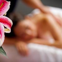 Image #2 of 55 min Muscle Meltdown Massage; Rose Mask (includes Rose scrub) and Pink Himalayan Rose Facial