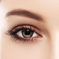 Image #2 of Free Eyebrow Wax